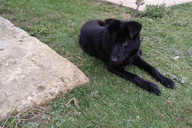 Foto Xuno