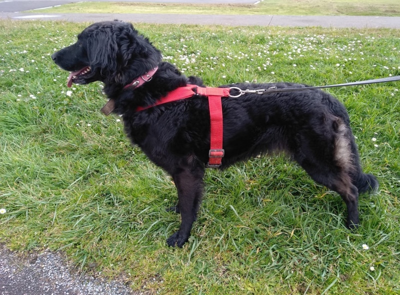 Foto Kira
