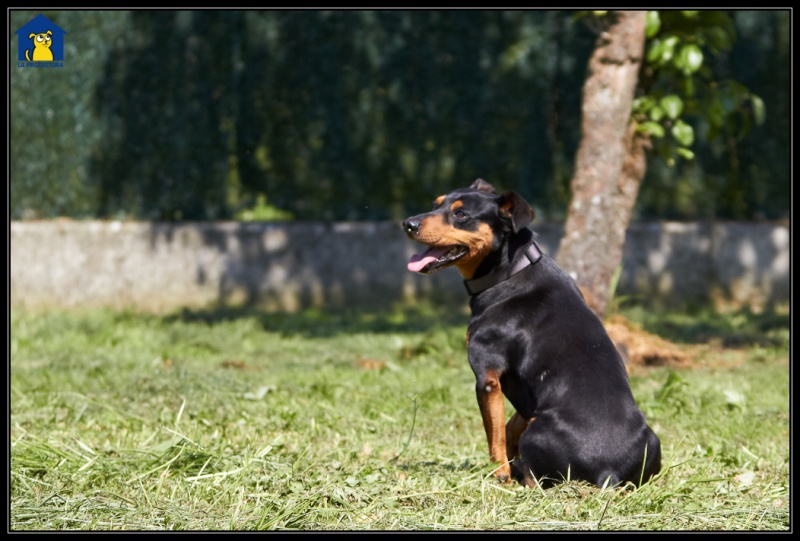 Foto Hunter