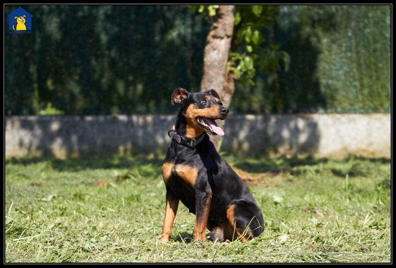 Foto Hunter