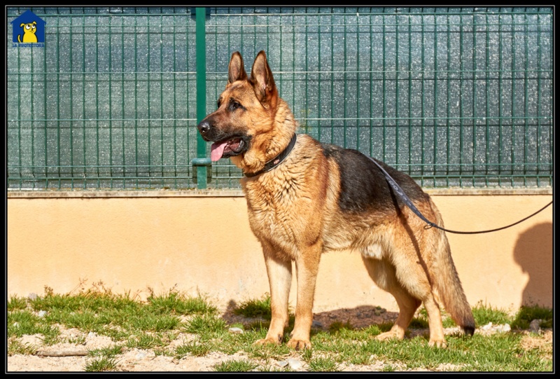 Foto Wagner