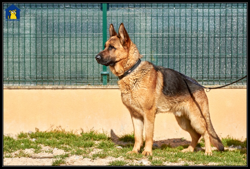 Foto Wagner