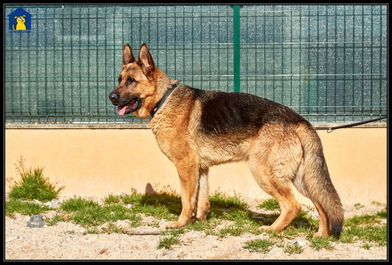 Foto Wagner