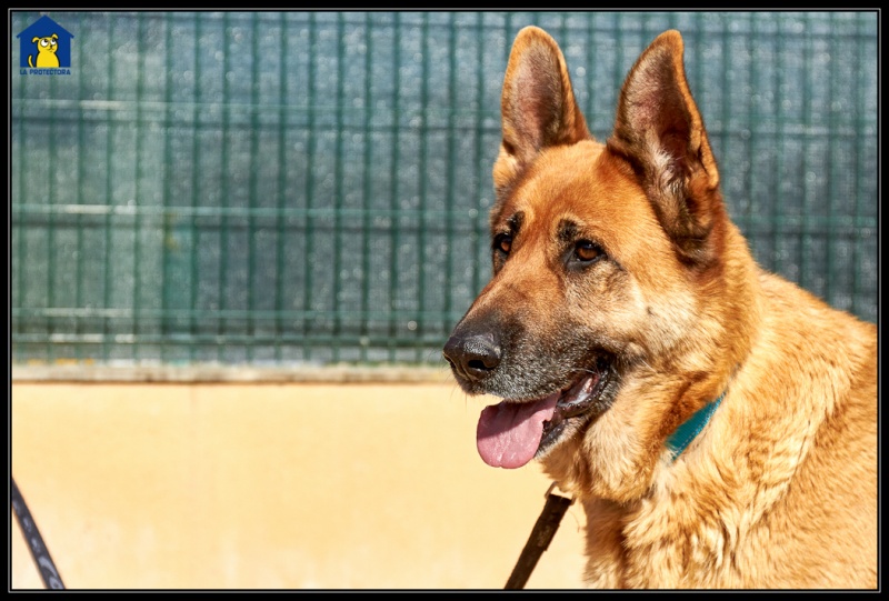 Foto Tosca