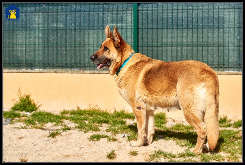 Foto Tosca