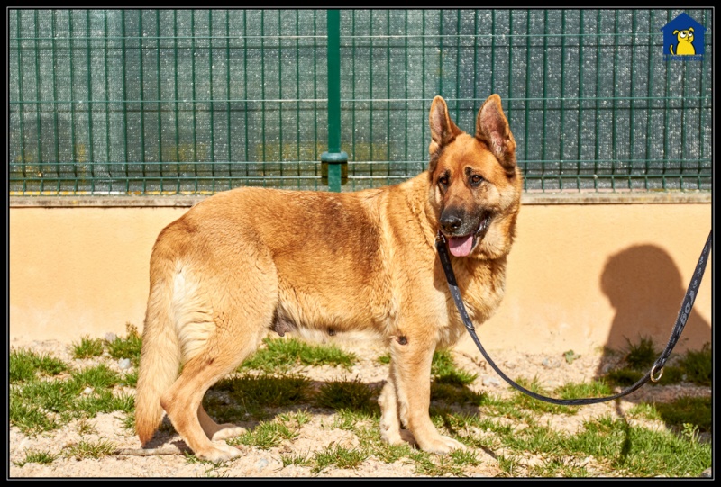 Foto Tosca
