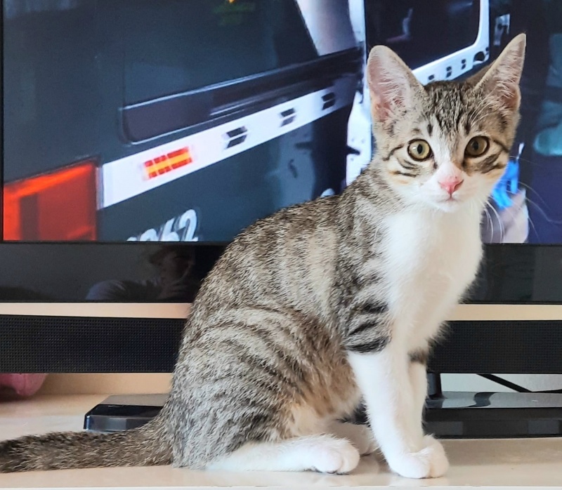 Foto Ciro