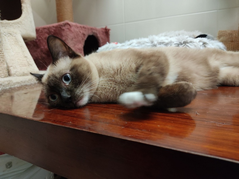 Foto Capuchino