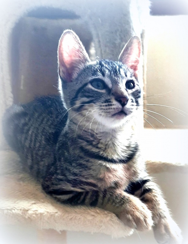 Foto Neo