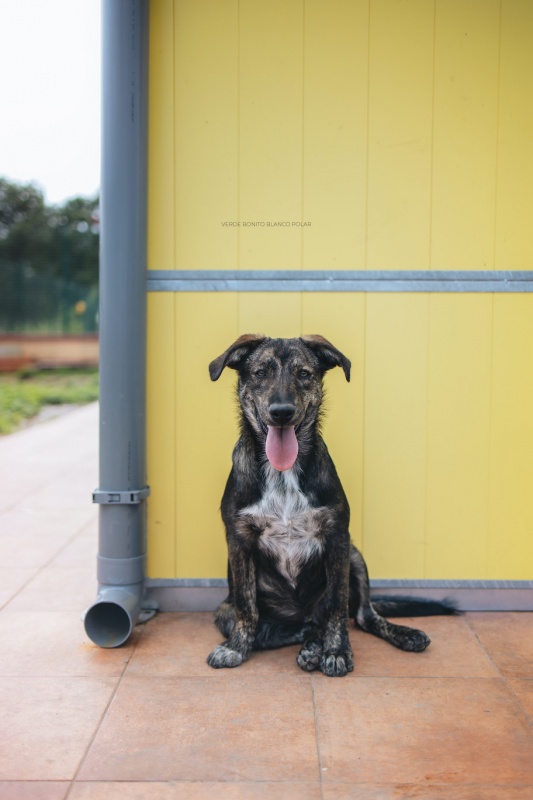 Foto Baxter