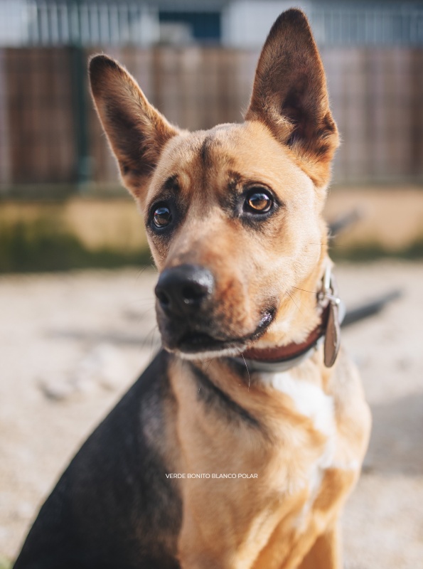 Foto Kira