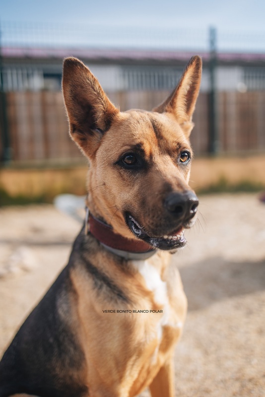 Foto Kira