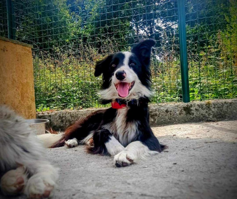 Foto Frida