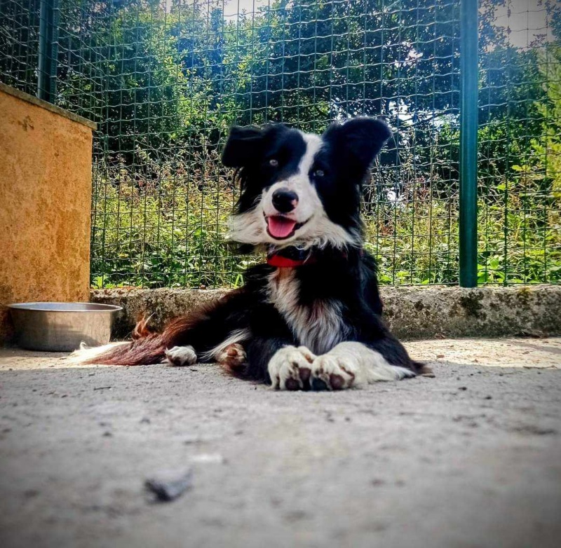 Foto Frida