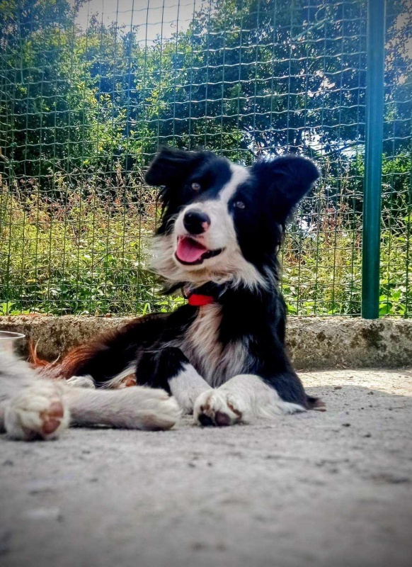 Foto Frida