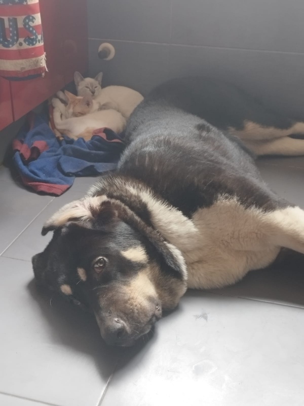 Foto Moura