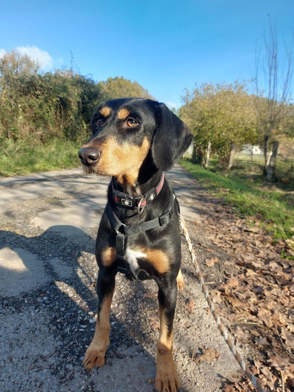 Foto Luna