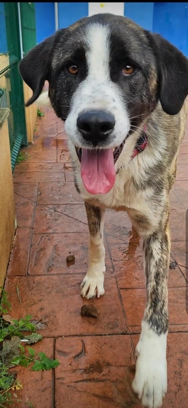 Foto Catrina