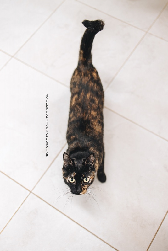 Foto Nina