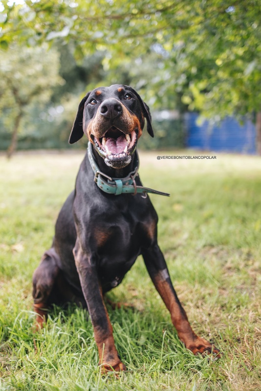 Foto Ralph