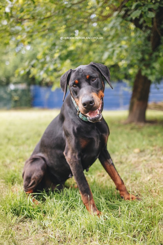 Foto Ralph