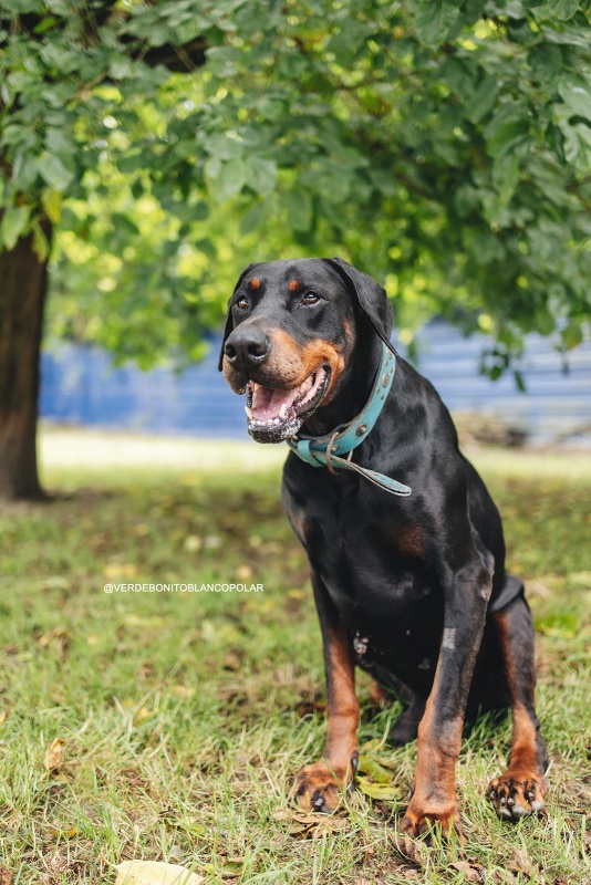 Foto Ralph