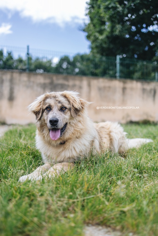 Foto Teddy