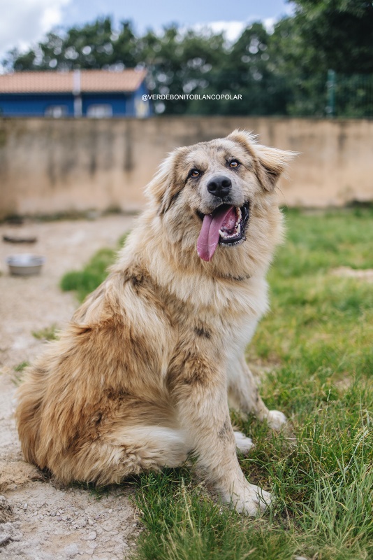 Foto Teddy