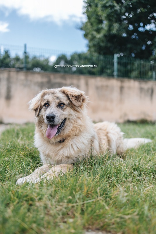Foto Teddy