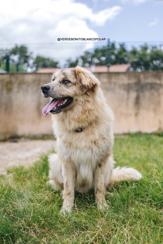 Foto Teddy