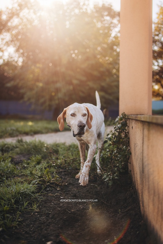Foto Lucky