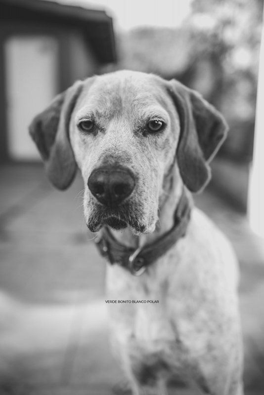 Foto Lucky