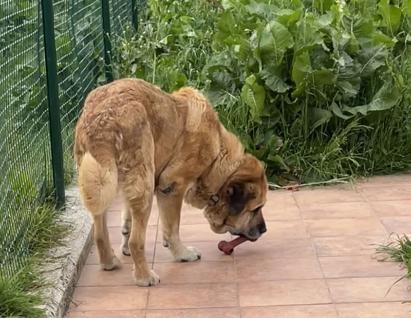 Foto Uruna