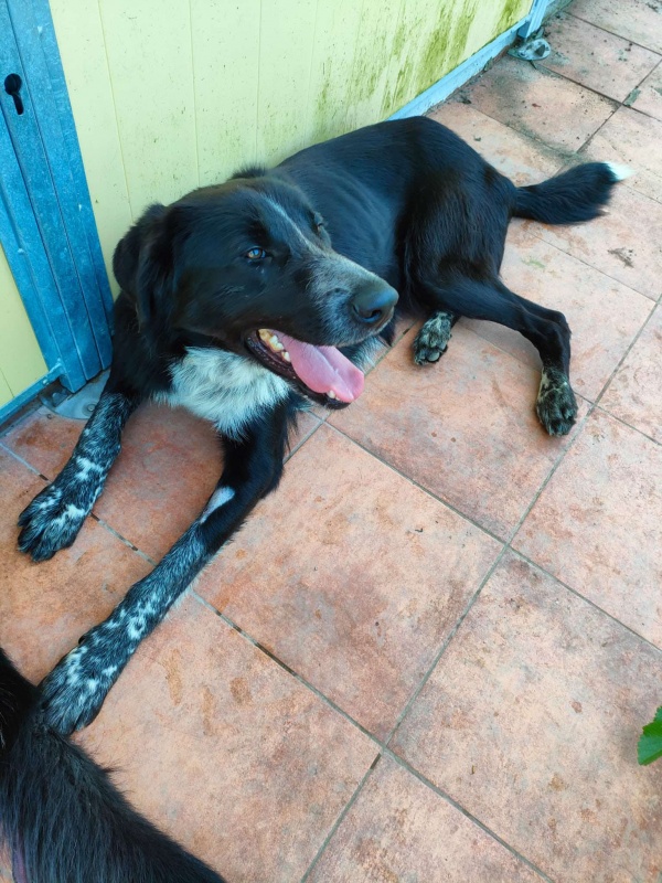 Foto Jerry