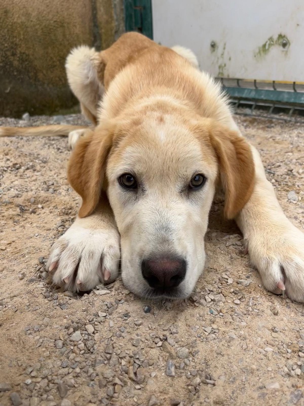 Foto Gus