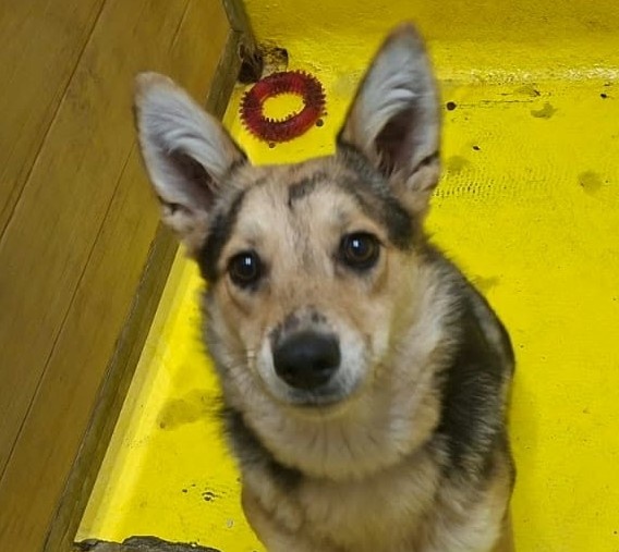 Foto Leia