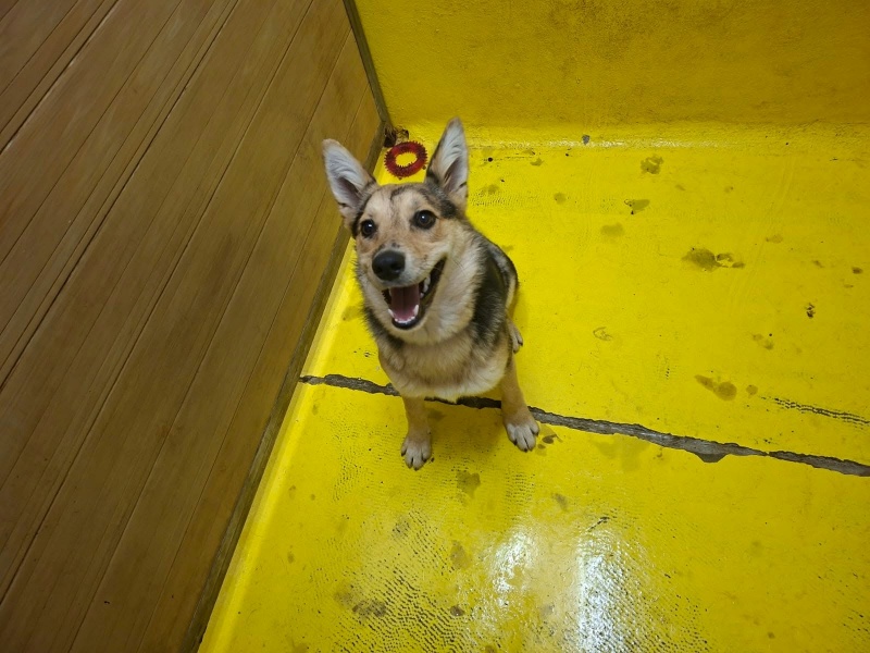 Foto Leia
