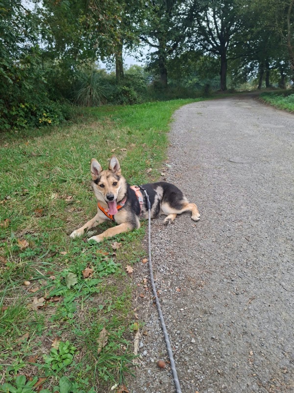 Foto Leia