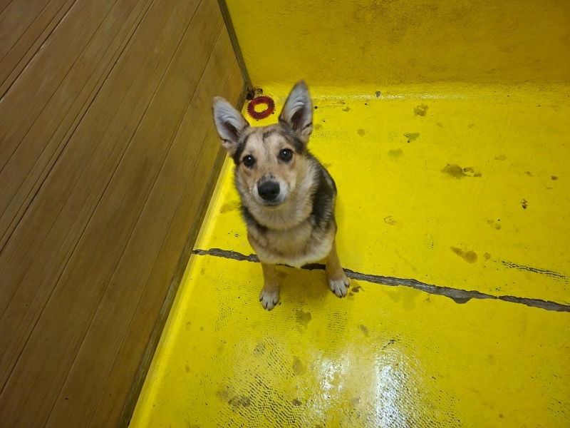 Foto Leia