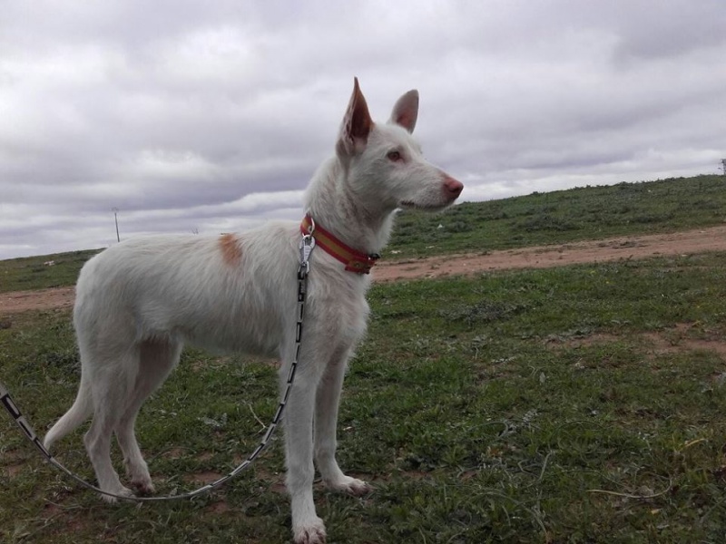 Foto Aria