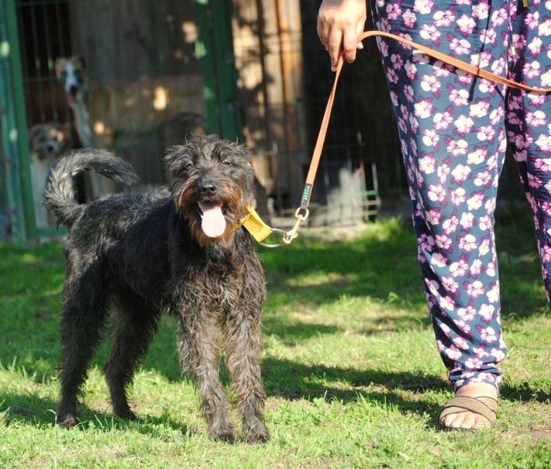 Foto Lola
