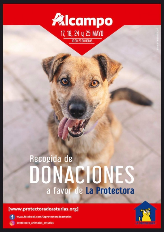 Foto Recogida de donaciones Alcampo (Gijón) 17, 18, 24 Y 25 MAYO