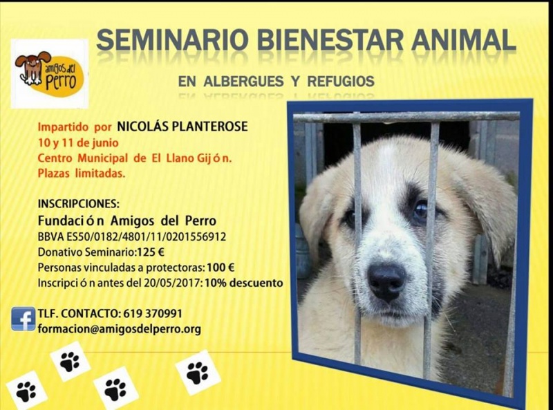 Foto Seminario Bienestar Animal - Nicolás Planterose