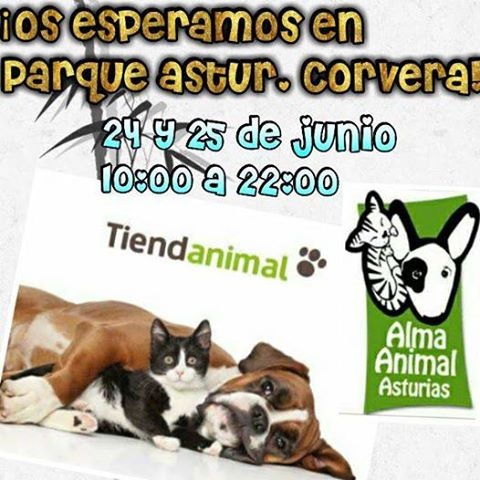Foto Stand en Tiendanimal