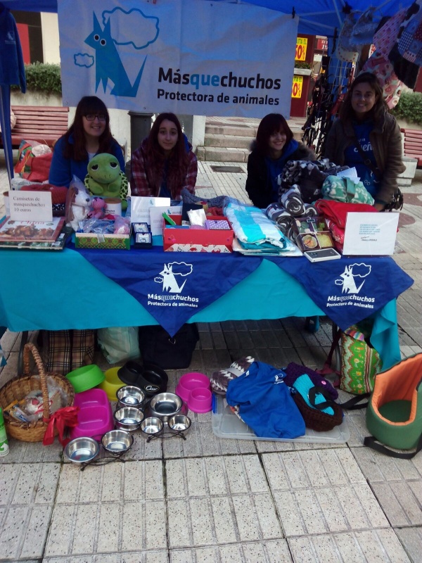 Foto Stand solidario en la Calle 9 de Mayo