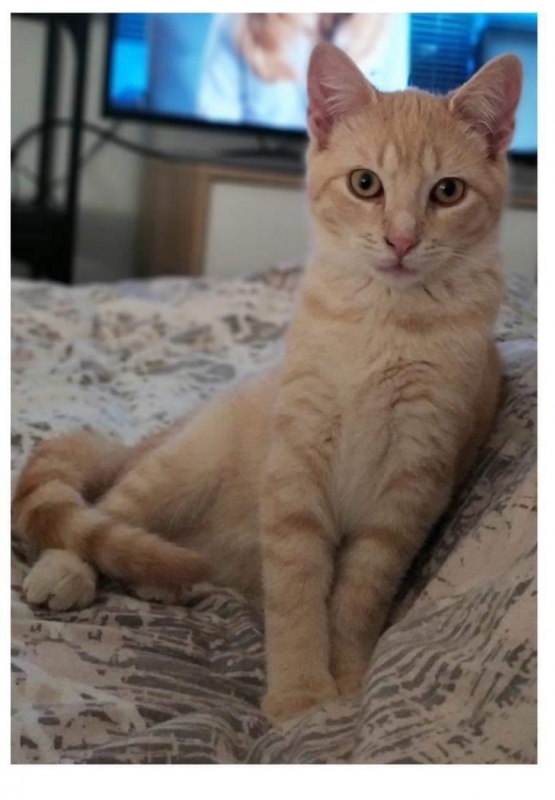 Foto Jaral