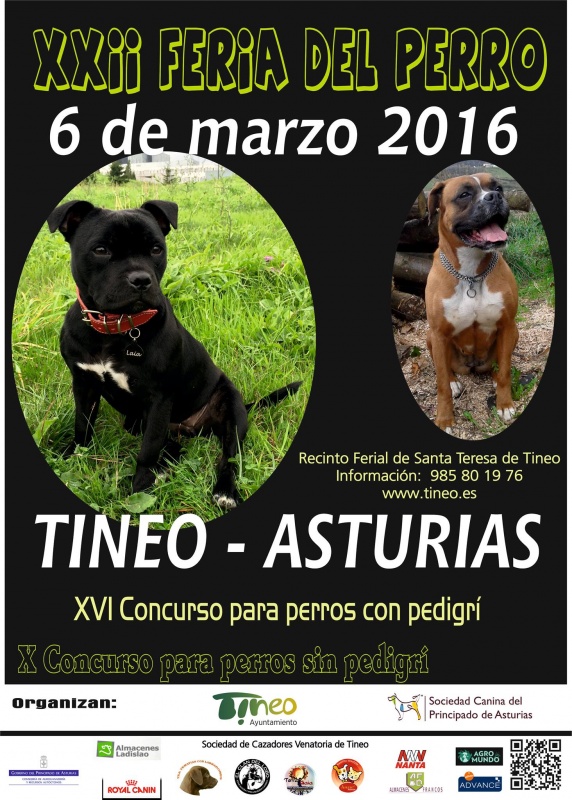 Foto XXII Feria del Perro de Tineo