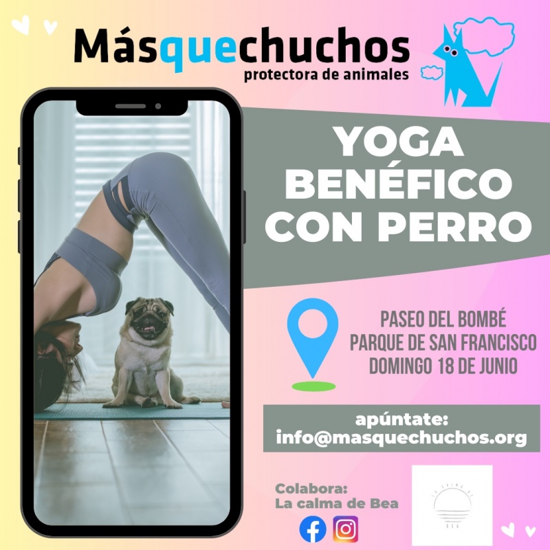 Foto Yoga benéfico con perro