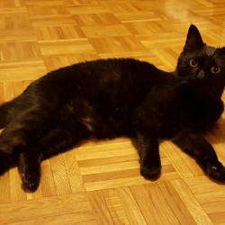 Pepa