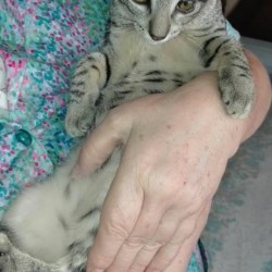 Fiona